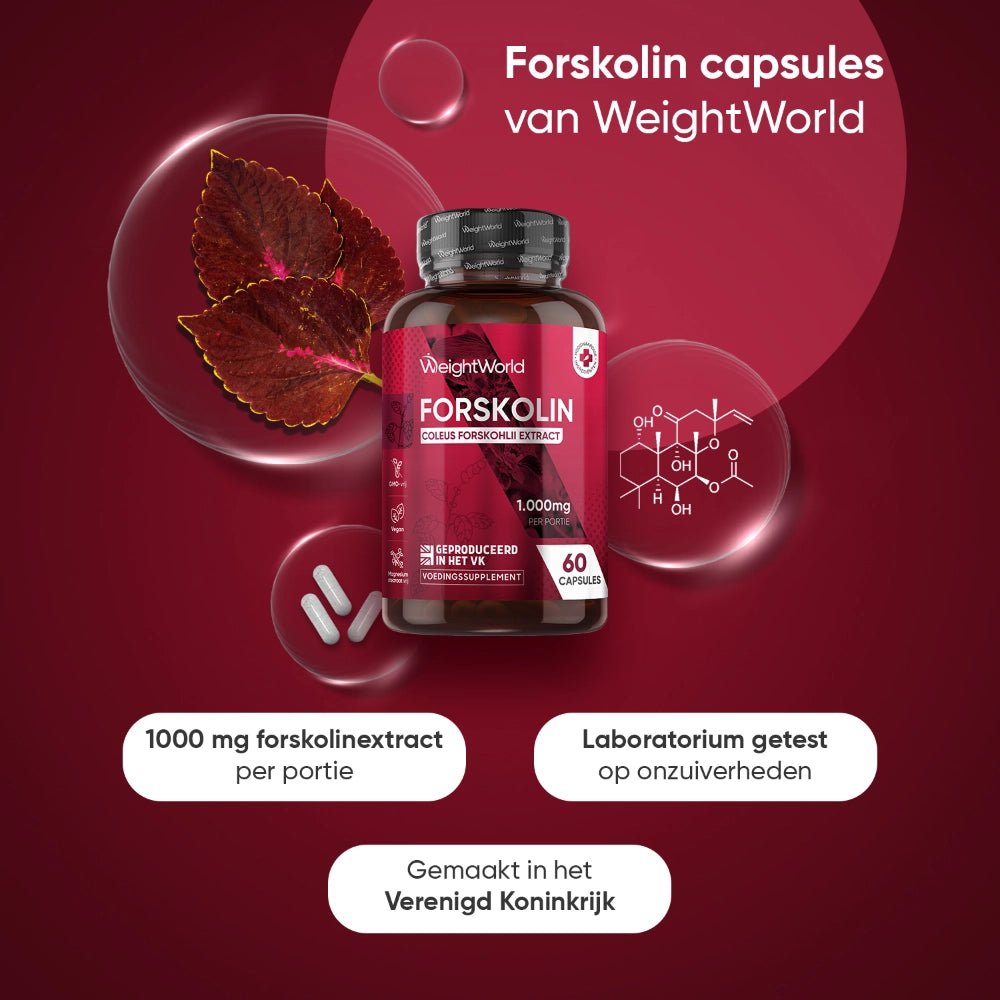 weightworld-nl-forskolin-capsules-bottle-02
