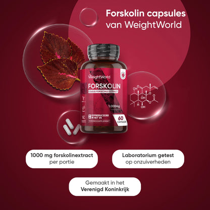 weightworld-nl-forskolin-capsules-bottle-02