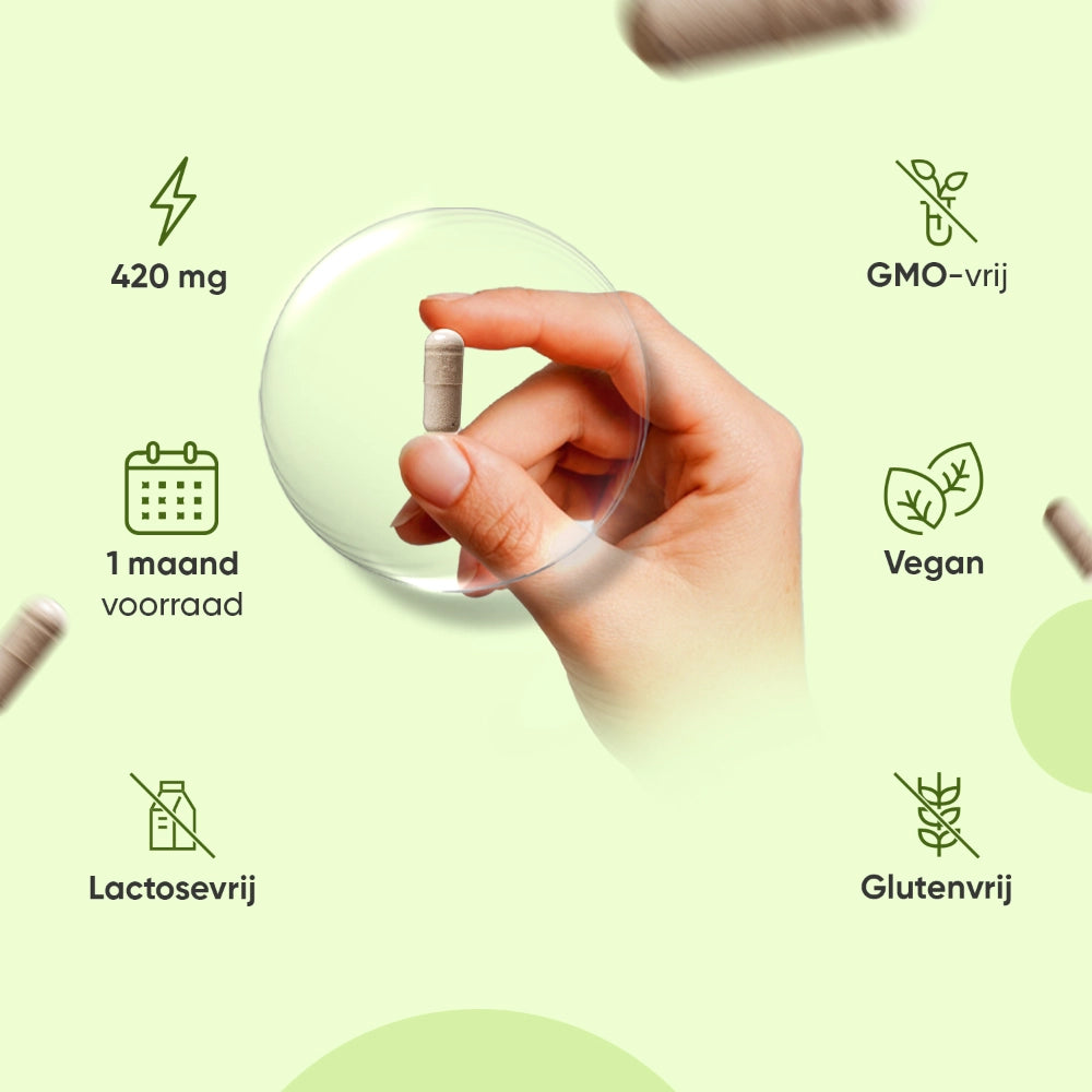 weightworld-nl-green-coffee-pure-caps-01
