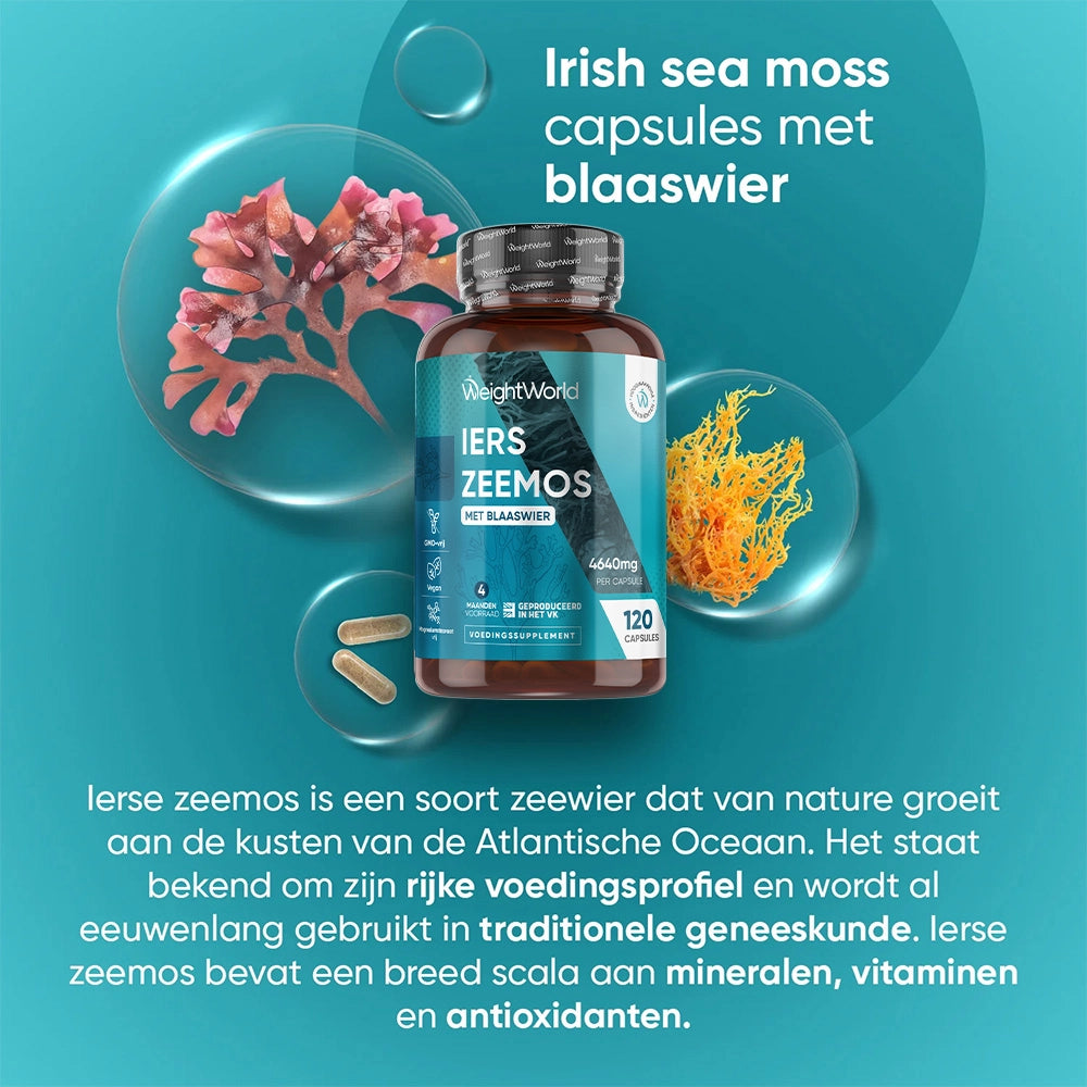 weightworld-nl-irish-sea-moss-bottle-01
