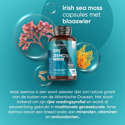 weightworld-nl-irish-sea-moss-bottle-01