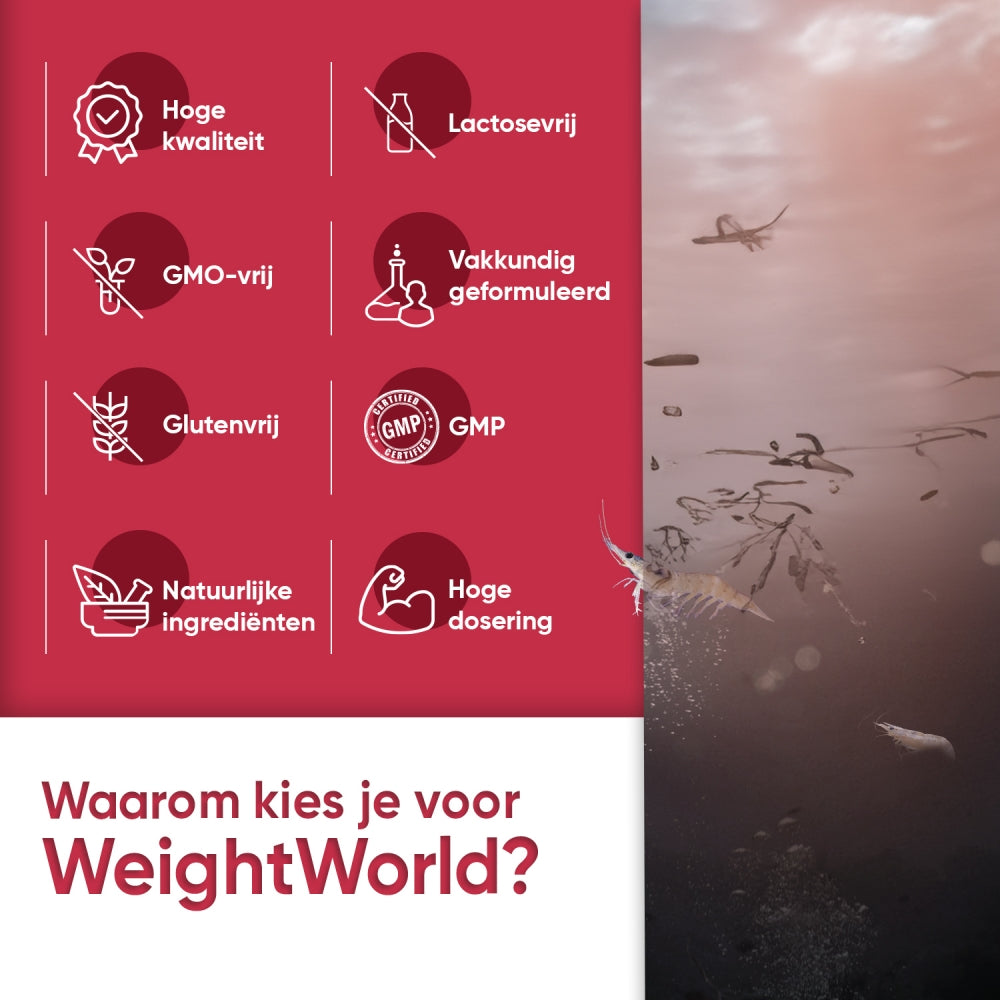 Andere kenmerken van het krillolie supplement van WeightWorld