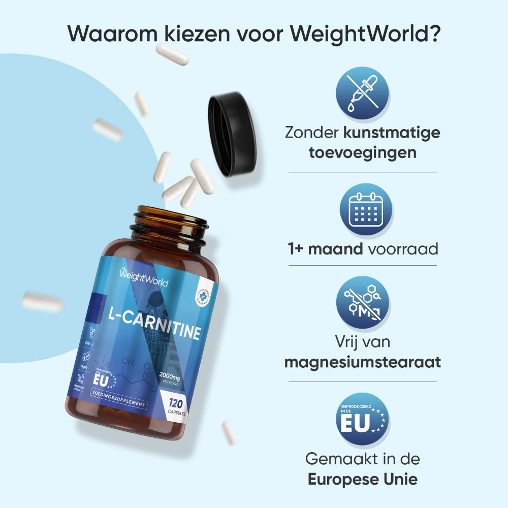 L-carnitine | 2000 mg 120 capsules