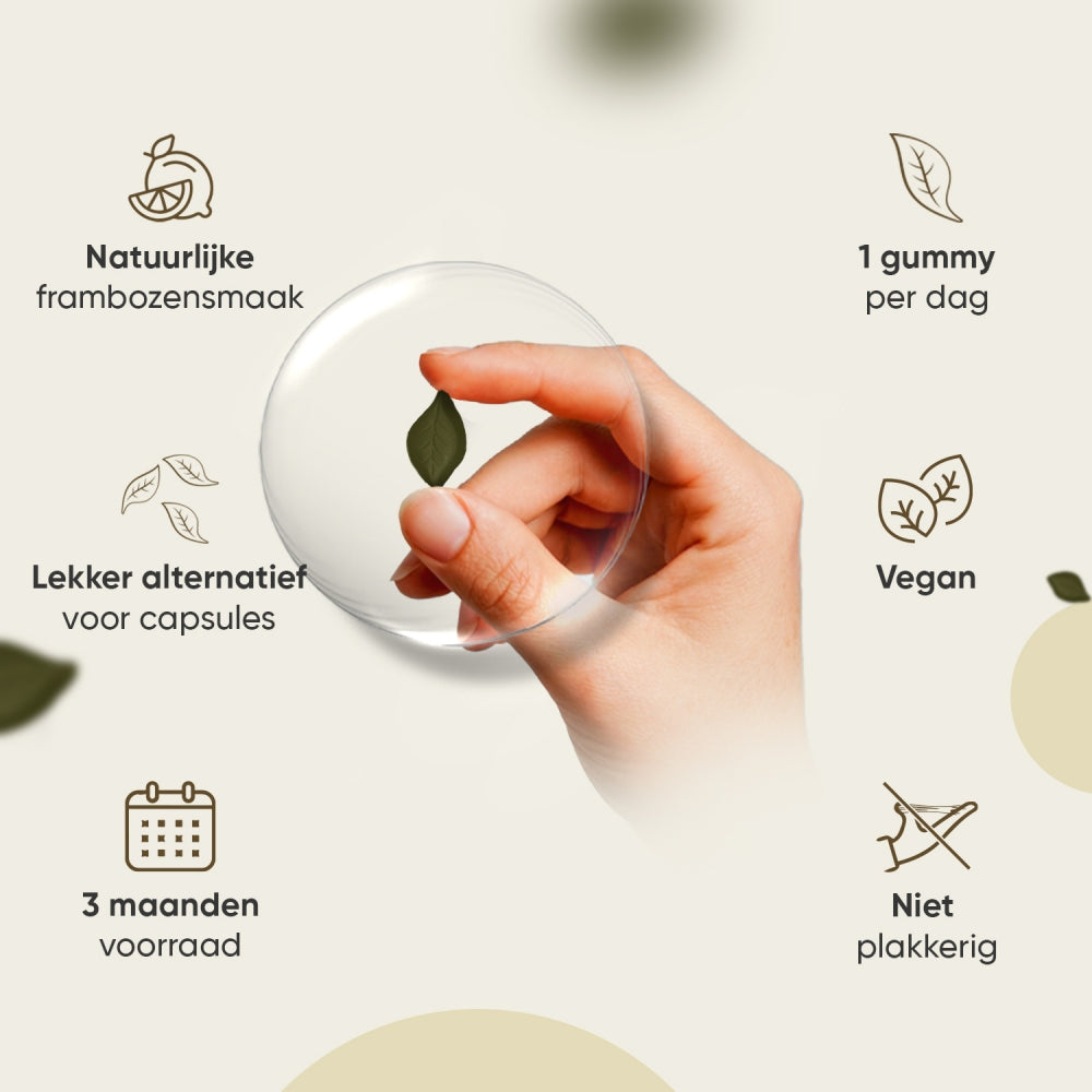 weightworld-nl-lion-mane-capsule-02