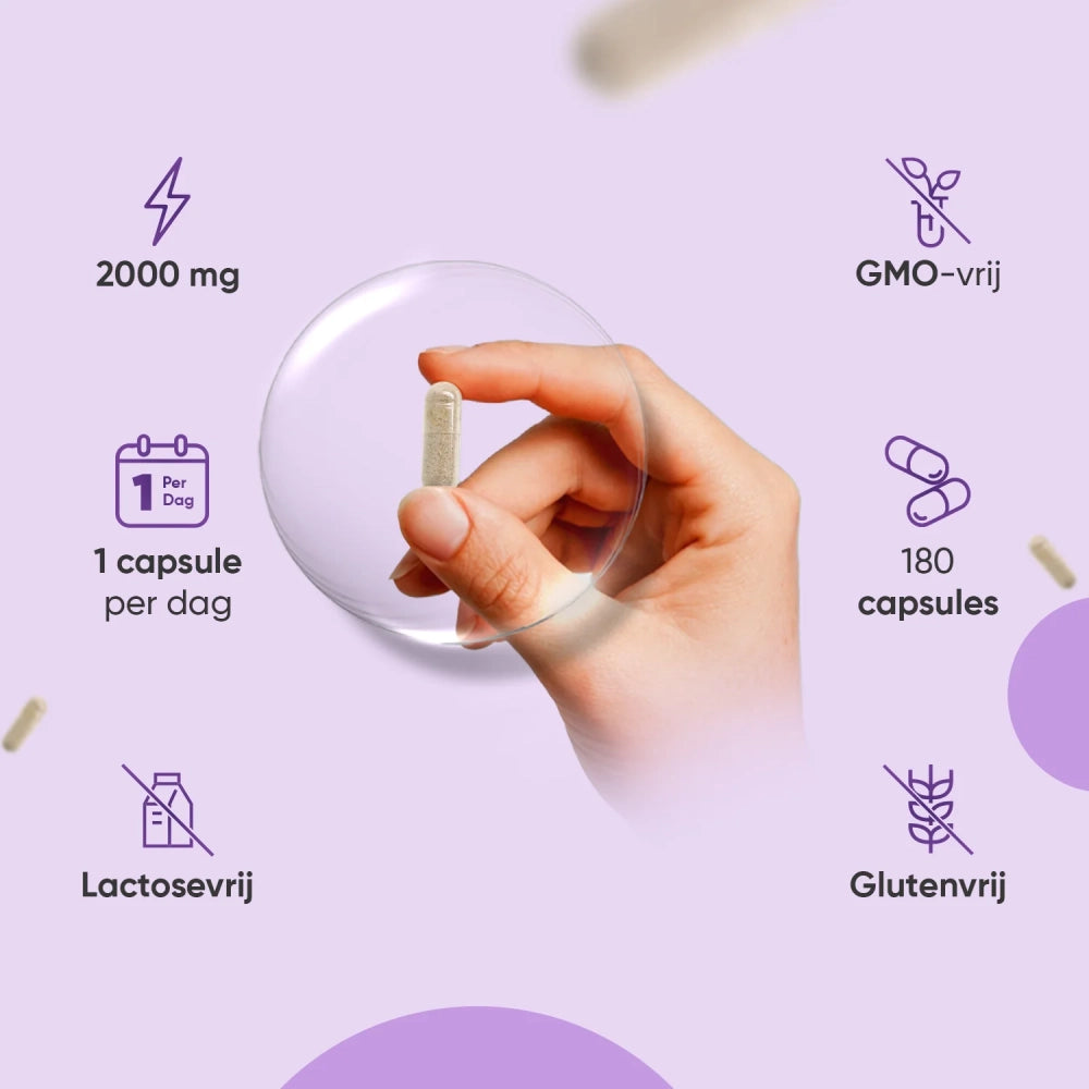 weightworld-nl-milk-thistle-3