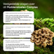 weightworld-nl-mushroom-complex-90gummies-5