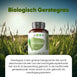 weightworld-nl-organic-barley-grass-2000mg-240-capsules-bottle-03