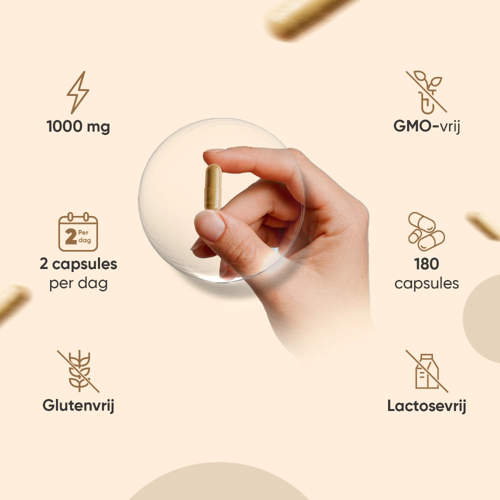 weightworld-nl-organic-mushroom-complex-4