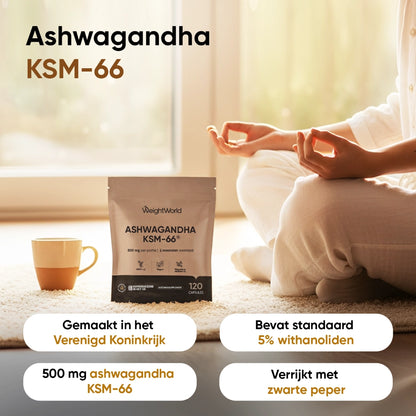 weightwrold-nl-ashwagandha-ksk-66-pouch-2