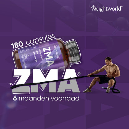 zmaa-100-tab-nl-4